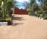 The paved driveway inside the lodge's gated entrance